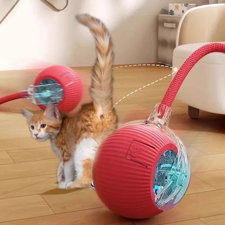 FurEverCare PlaySphere™