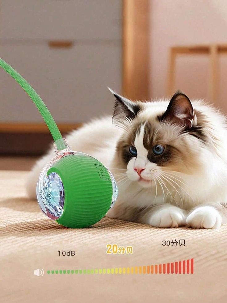 FurEverCare PlaySphere™